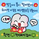 성호카인테리어 | #스불재일기_2024 생일