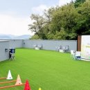 퍼피댕글 이미지