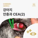 행신동물병원 이미지