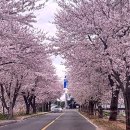 어물보건진료소 이미지