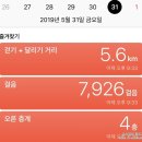 블링수