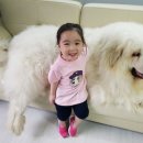 헤지스키즈 이미지