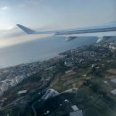 제주도유 이미지