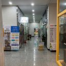 육대육