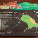 2월 7~9일 남도 여행(5/6_2월 9일_천관산 동백숲, 묵촌리 동백림) "Jeollanam-do on February 7~9, 2023"