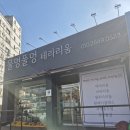 인천 테라리움 원데이 수업 후기 물멍풀멍 테라리움