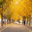 2025년도 ‘한울회’ 정기모임! -, 원주 이미지