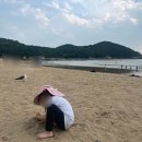 포세카신규캠프직원식당 | 휴일에 영종도에서 아이랑 뭐할까｜서울 근교 주말에 영종도 아이랑 가기 좋은 곳