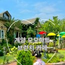 모모아이 이미지