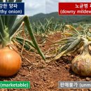 부농원 농약사 네이버블로그