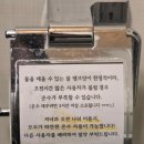 대천허브펜션 | 숙소 컨디션부터 바베큐 조식까지 완벽했던 보령 대천 '하루펜션' 203호 (내돈내산/재방문의사o)