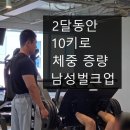 일광 피티 실제 후기, 마른 체형 남성의 벌크업 성공(꿀팁 받아가세요)