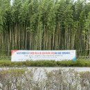 금산 와룡지구 1 이미지