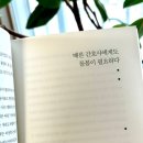 한림대학교 간호대학원 | 나는 간호사, 사람입니다 김현아 작가 책 리뷰