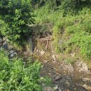 두지리 세천 이미지