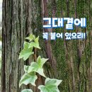 다향카센타