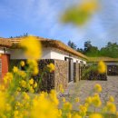 더예쁜소길초가 이미지