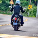 데이스타 이미지