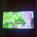 크라운차차차 | [2025 한일교류 방일대학생단] #7 홈스테이 해단식 &amp; 구마모토 현청 특강 &amp; 구마모토성 시찰