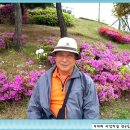 겨자씨 사랑의 집 Daum카페