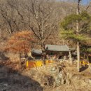 개삼터 | 개삼터 체험 후기: 자연 속에서의 평화로운 휴식