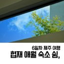 오마틸라 | 제주민 추천 국수 맛집, 협재해수욕장&amp;애월_제주 여행 6일차