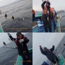 성복호 이미지