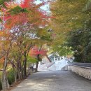 마음이머무는곳 | 🍂머무는 순간, 마음이 맑아지는 곳 — 지리산 연기암에서 만난 깊은 가을의 향기