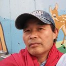 봉선초등학교 이미지