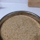 배한농장 Daum카페