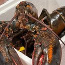 READ n PLAY(For Book Quiz) 이미지