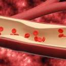 데일리멍 이미지