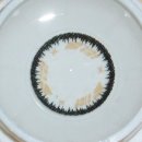 바이오쥬얼리 이미지