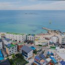 봉포 산들바람 이미지