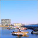 동삼어촌계 유어장 낚시터 이미지