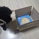 웰빙콩깍지 | 본아페티 플래티넘 실리콘 식기, 안전한 급체방지 식기 추천