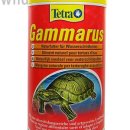 아쿠아라이프 이미지