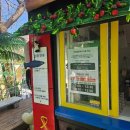 십승지 힐링체험단지 | ❄️ 경주 산내 국민힐링파크 겨울 눈썰매, 카누 체험 후기