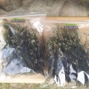 금곡농약 이미지