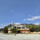 구룡2통마을회관 | 익산 전북천리길 미륵산 둘레길, 트레킹 코스 : 구룡마을 대나무숲 - 전북과학고 - 미륵사지 - 기양...