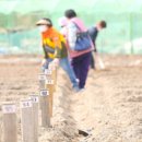 왕곡농장 이미지