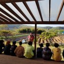 푸른솔 농장 이미지