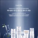 케어셀라 네이버블로그