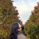 아라리축산 이미지