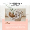 삼동로-2 | 아산 배방커튼 상가 화이트 쉬폰커튼 설치후기