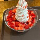 태훈농장 | 5月- 영원히 오지 않을 것 같았던 종강..(feat. 금빛강냉이의 초당옥수수 키우기)