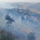 옥산면행정복지센터 이미지