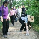 나눔건강 이미지