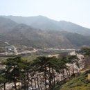 고향산천 Daum카페