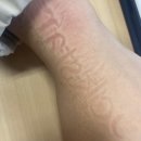 넌 내가 쉴 수 있는 깊은 밤의 꿈